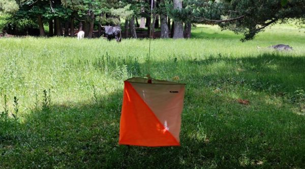 Baliza naranja colgada en una pradera, una de las postas del recorrido de orientación