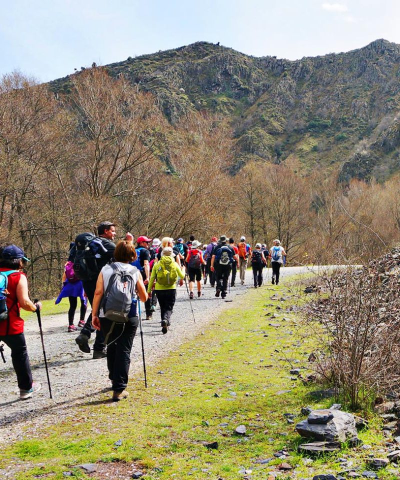 Fila de senderistas por una pista de grava al pie de un cerro en una ruta de empresa